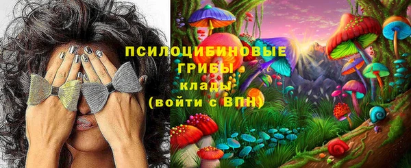 прущие крисы Алексин