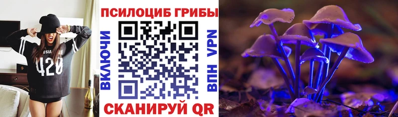 как найти   Ливны  hydra   Галлюциногенные грибы Psilocybe 